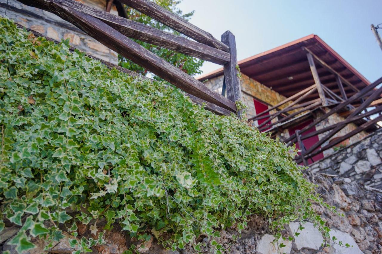 Stonehouse 2 Bedroom Chalet On Olympus Amazing View Petra  Экстерьер фото